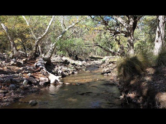 Cave Creek Canyon, AZ