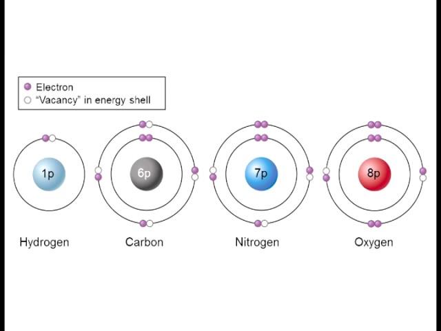 Biology 1010 Lecture 3 Atoms