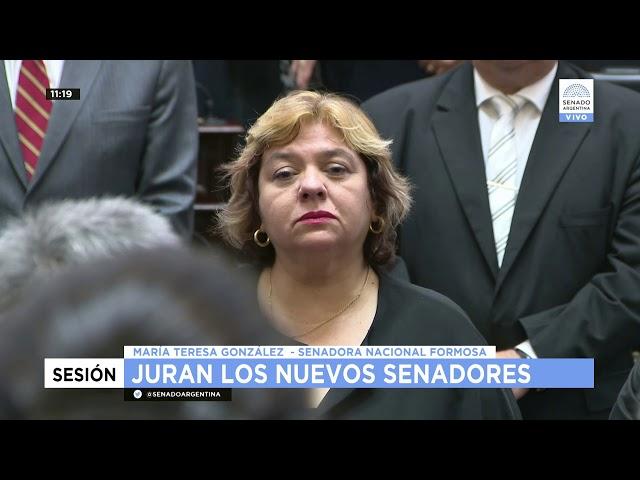 SENADORA ELECTA POR LA PROV DE  FORMOSA MARÍA TERESA GONZALEZ  29-11-17