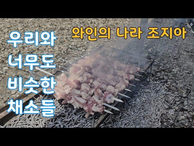 조지아 농촌 텃밭 이야기 2/우리와 너무도 비슷한 채소들