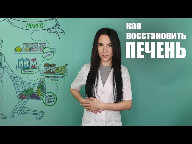 Как восстановить печень после алкоголя