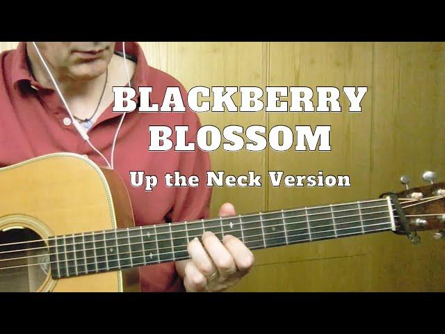 Blackberry Blossom | Guitar Lesson (Performance) | Flatpicking Experience