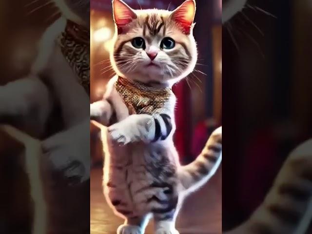 animal's video ️️ #cutecat #shorts  #mousevideo