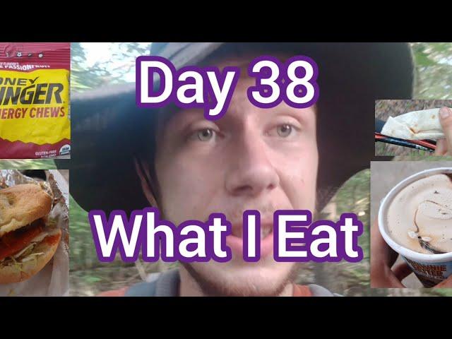 Day 38 Hiking the Appalachian Trail in 100 Days | AT Thru Hike SOBO 2024 Snowman