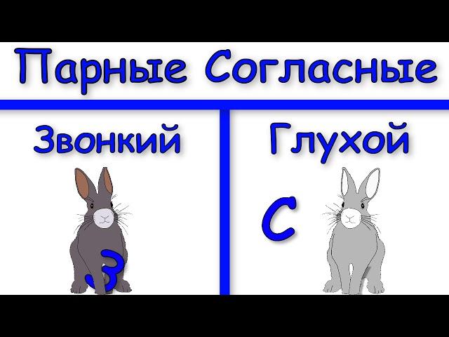 Начальная школа. 1 класс. Парные согласные. Profi-Teacher.ru