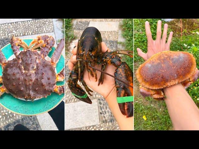 Cooking and Eating Delicious Fresh Seafood | Chinese Eating Show | Funny Mukbang #9