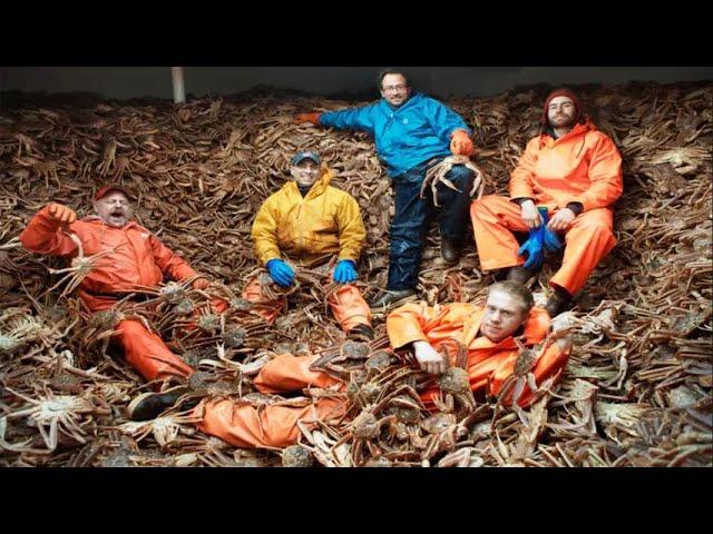 Amazing Fastest Catch Million of Alaska King Crab With Modern Boat - Amazing crab fishing on the sea