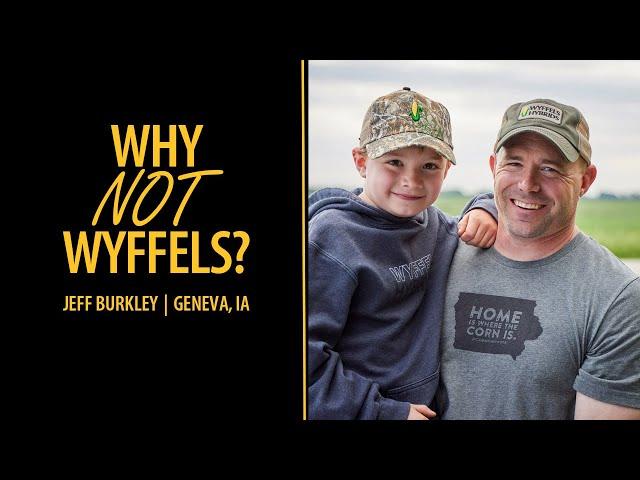 Why Not Wyffels? | Jeff Burkley