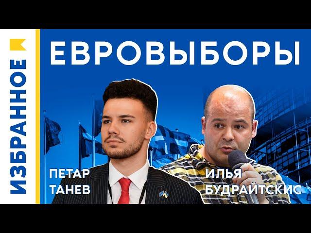 Выборы в Европарламент / Петар Танев, Илья Будрайтскис