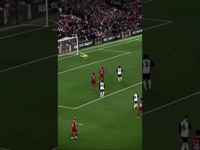 The best long shot goals #football #edit