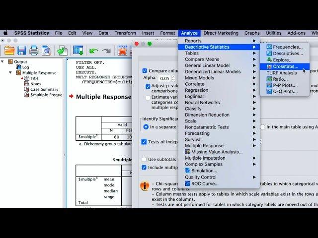 SPSS: How To Perform Quantitative Data Analyses For Bachelor's Research? 5 Basic Analysis Methods