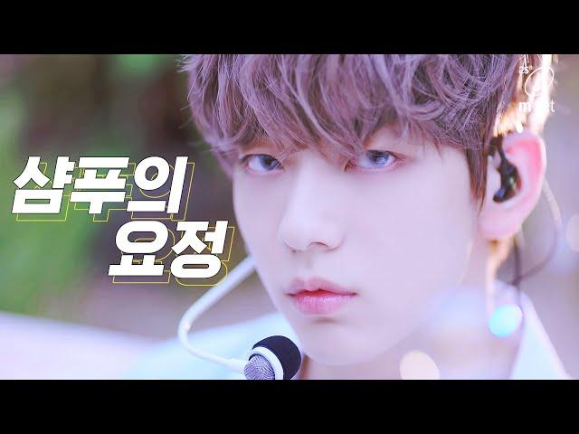 [최초공개] TXT (투모로우바이투게더) - 샴푸의 요정 | TOMORROW X TOGETHER COMEBACKSHOW