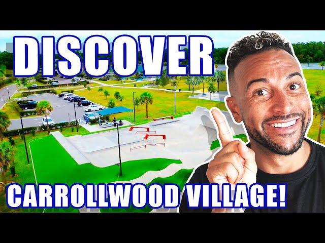 Charms Of Carrollwood Village In Tampa Florida: Living In Tampa FL | Carrollwood Village FL Homes