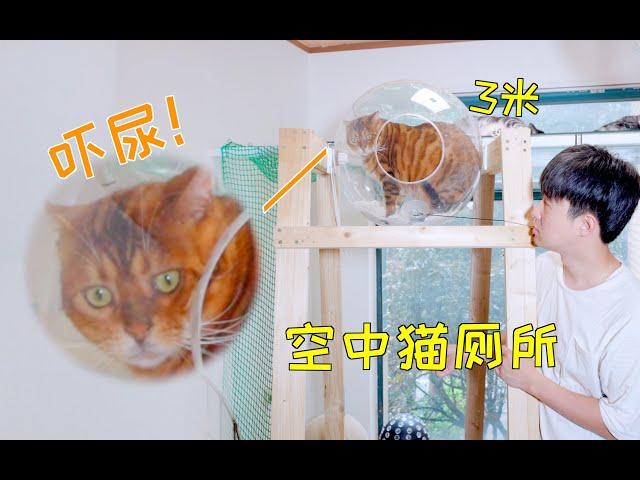 耗时30天制做空中全透明猫厕所，猫上去直接吓尿了！