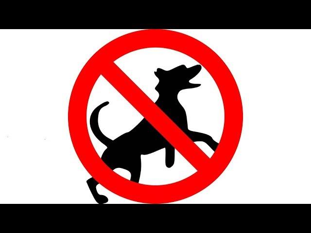 ▶️ How To Stop A Dog Barking. Ultrasonic Bark Control. Keep A Dog Out Of Garden. 12 Hours. 