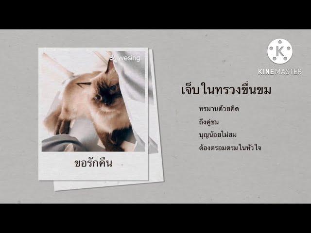 ขอรักคืน cover : iss sabithip