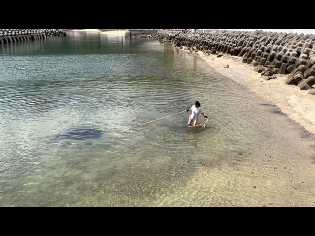 ついに自分より大きい魚を仕留める・・・