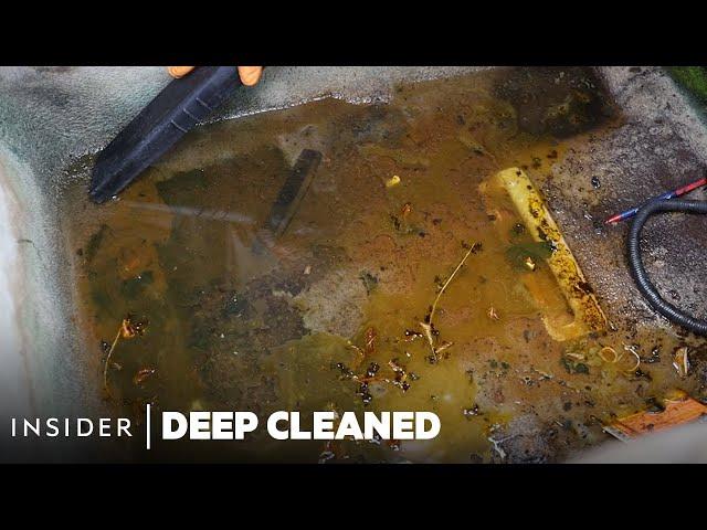 How 6 Years Of Mold In A Car Is Deep Cleaned | Deep Cleaned