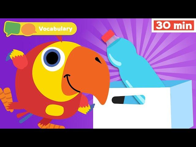 Learning First Words with Larry the Parrot | Sensory Stimulation for Babies | Vocabulary for Kids