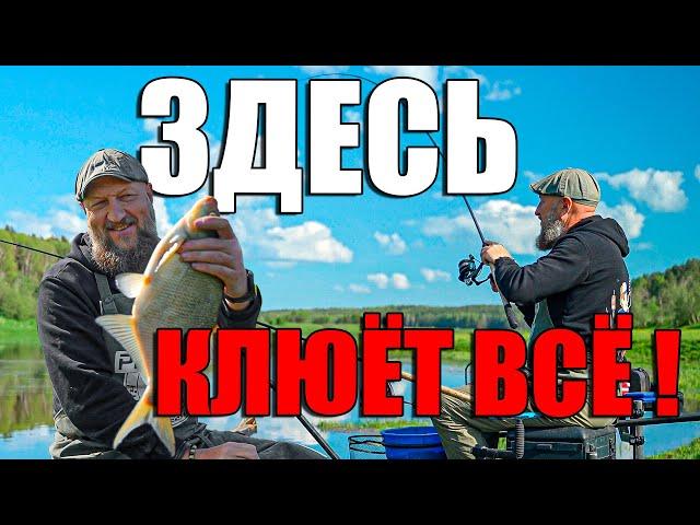 ГДЕ ЛОВИТЬ, ЧТО БЫ КЛЕВАЛО? КАК ЛОВИТЬ НА ТЕЧЕНИИ? ФИДЕР НА РЕКЕ!
