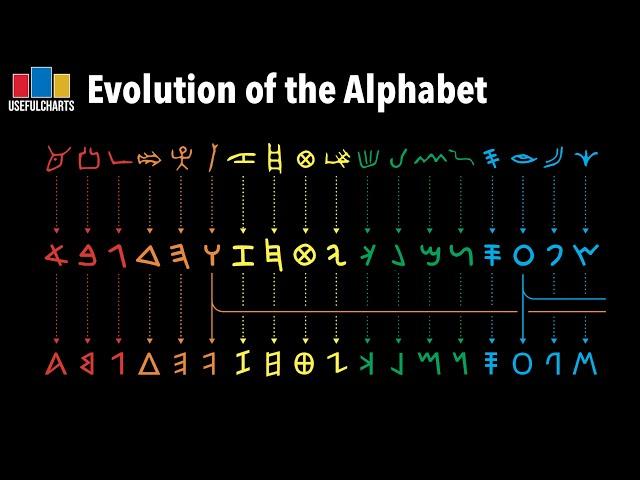 Evolution of the Alphabet | Earliest Forms to Modern Latin Script