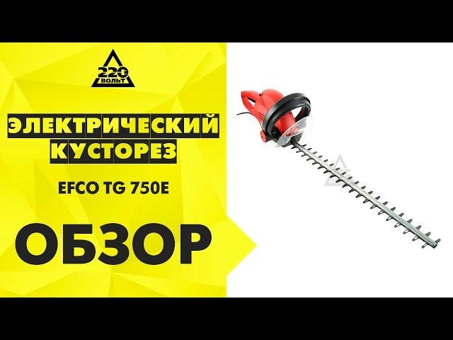 Обзор Электрический кусторез EFCO TG-750E