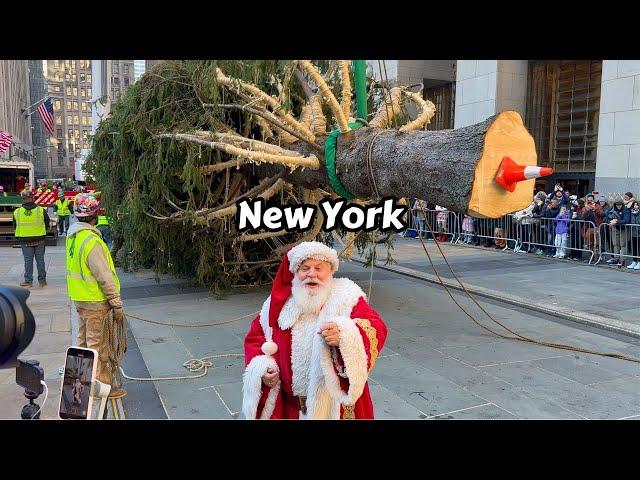 NYC Rockefeller Center Christmas Tree 2024 Installation Video  New York City 