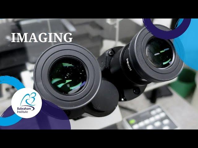 Imaging at the Babraham Institute | Explore our Science Facilities