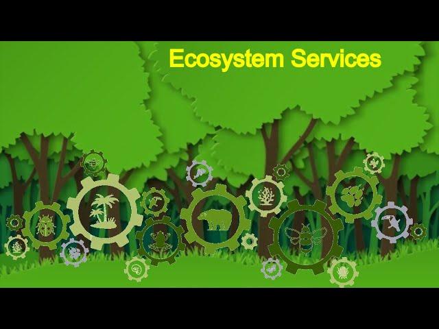 ECOSYSTEM SERVICES |  ecosystems examples |  types of ecosystem | biodiversity and Ecosystems