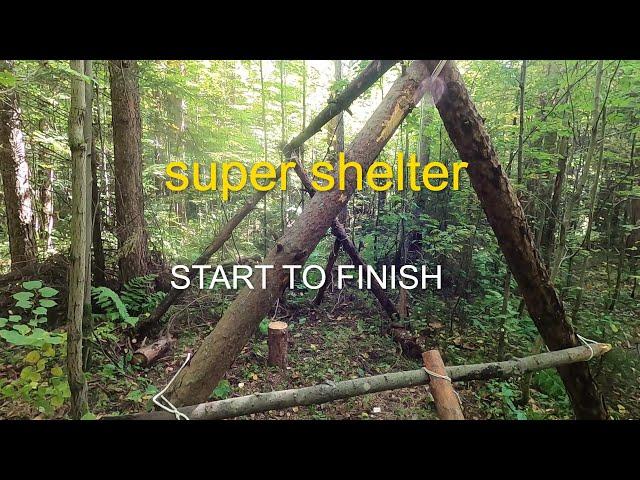 shelter in forest. bushcraft. construction from start to finish.