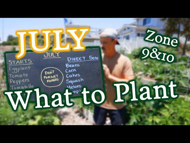 What to Plant in July & Garden Tasks for Zones 9 & 10