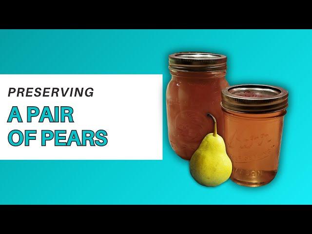 Canning Perfect Pears and Homemade Pear Jelly