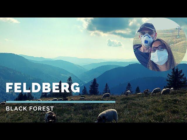 Easy Hike and Gondola ride to the summit of Feldberg I Schwarzwald (Black Forest Germany)