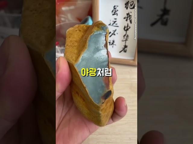 돈으로 돈을 버는 신종 도박임ㅋㅋㅋ