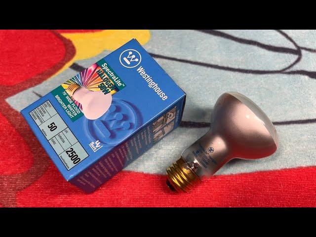 Westinghouse SpectraLite 50watt R20 Halogen Flood Light Bulbs