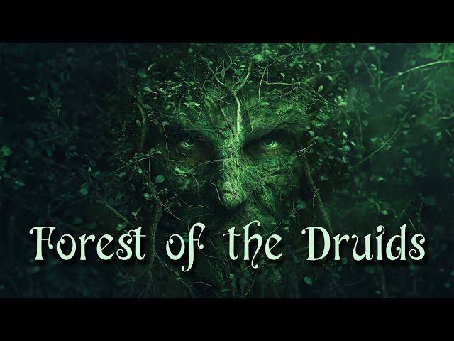 Forest of the Druids  Celtic Fantasy Music  Enchanting Wiccan, Pagan Music 