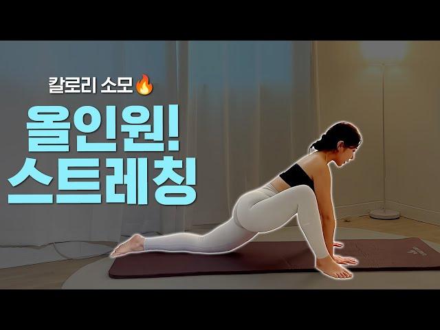 올인원 스트레칭다이어트에 도움을 주는 전신 스트레칭 모음집