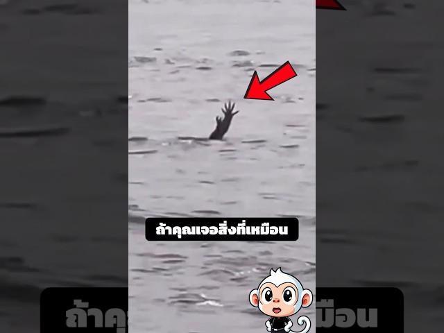 จระเข้ชูมือเหมือนคนจมน้ำเพื่อล่อเหยื่อ?