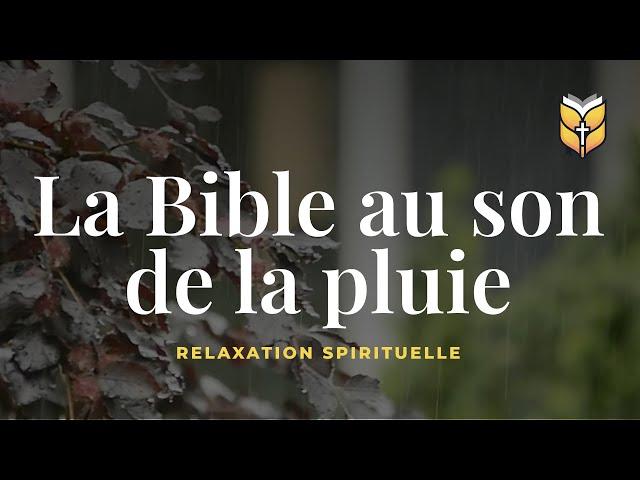 La Bible au son de la pluie. Relaxation #biblevision