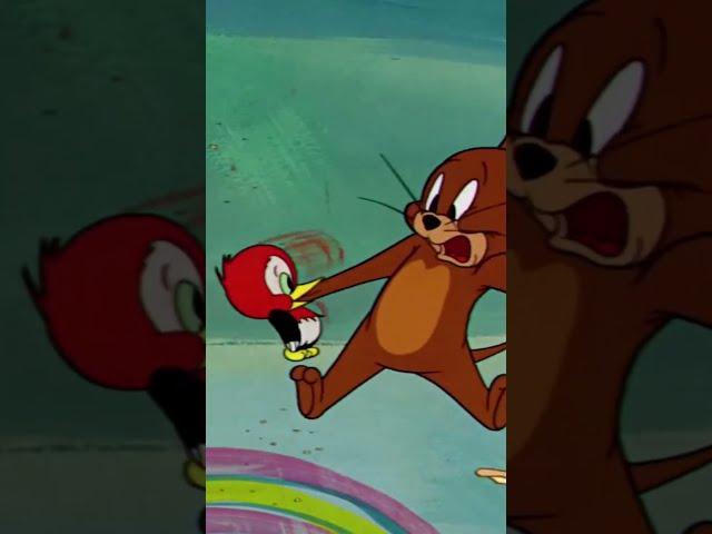 Jerry Got Uninvited Guest #Shorts