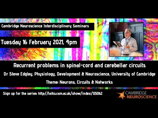 Cambridge Neuroscience - Dr Steve Edgley - Recurrent problems in spinal-cord and cerebellar circuits