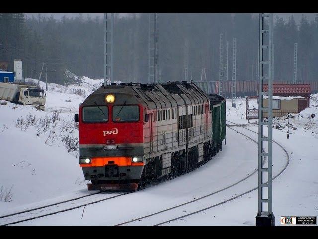 Тепловозы 2ТЭ116У (Лужский) / 2TE116U diesel locomotives (RZD, Luzhskiy)