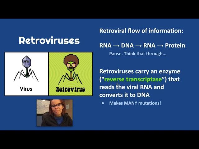 Sources of Prokary. Variation & Retroviruses