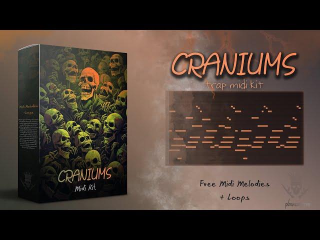 [FREE] TRAP MIDI KIT "CRANIUMS" trap midi files + loops