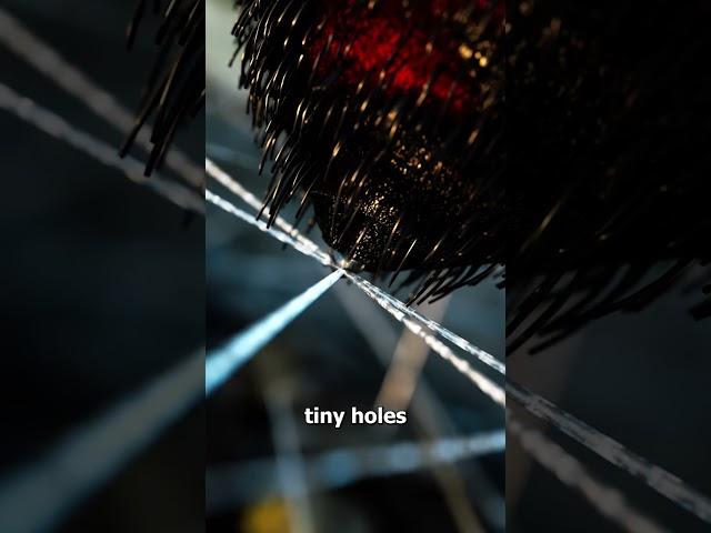 How Spiders Shoot Out Silk 