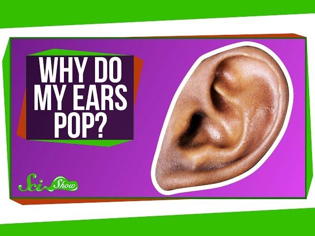 Why Do My Ears Pop?