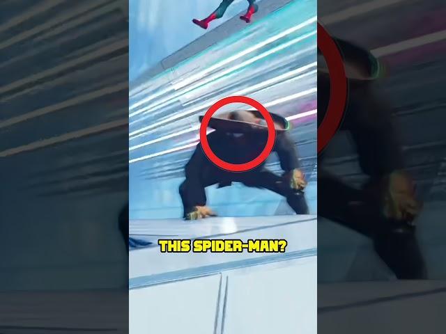 Top 4 Hidden Characters In Spider-Man Across The Spider-Verse