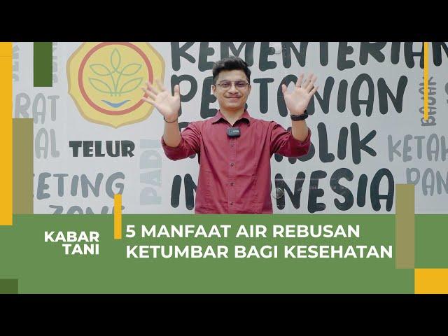 5 Manfaat Air Rebusan Ketumbar (Coriandrum Sativum) bagi Kesehatan