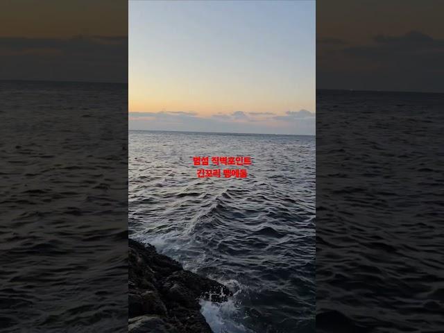 제주도  범섬 벵에돔낚시     #긴꼬리벵에돔#벵에돔#범섬#제주도벵에돔#24다이와토너먼트AGS#다이와