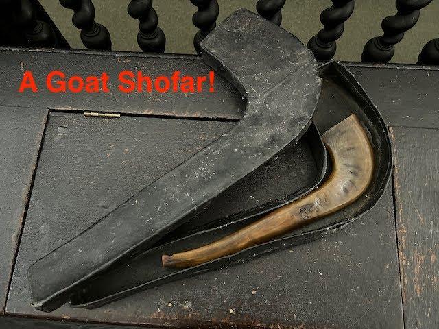 The Goat Shofar  - In the Life of Bevis Marks Synagogue